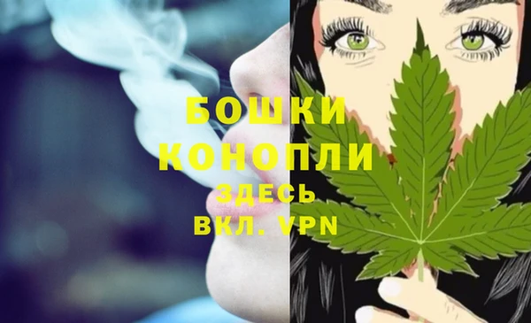 кокс Дмитриев