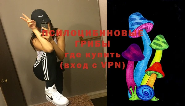молекула духа Дмитров