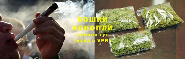 молекула духа Дмитров
