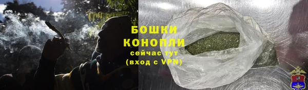 молекула духа Дмитров