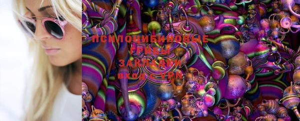 молекула духа Дмитров