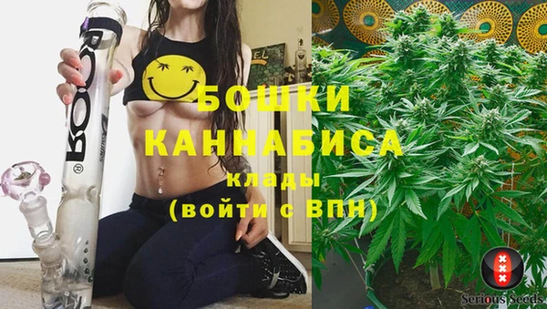 кокс Дмитриев